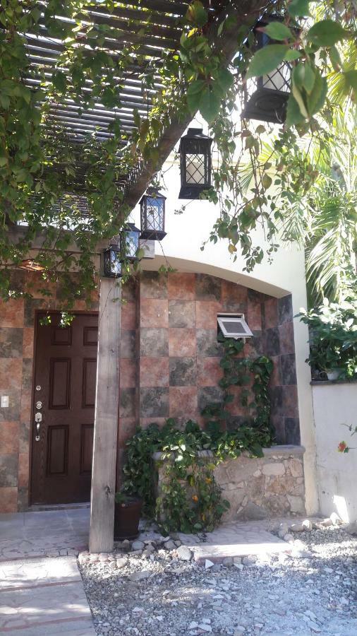 Casa Cacto En San Jose Del Cabo Villa Exterior photo